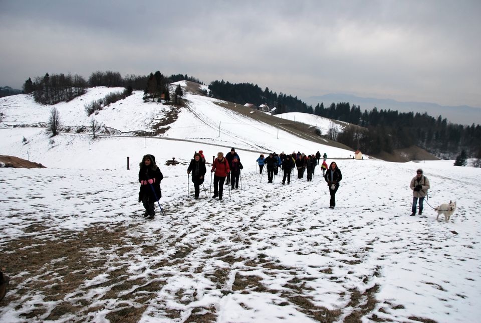 Koreno-Kožljek-Samotorica 23.1.2016 - foto povečava