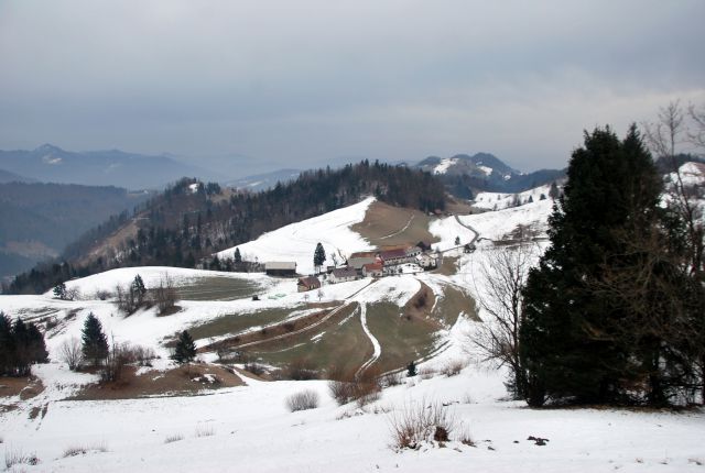 Koreno-Kožljek-Samotorica 23.1.2016 - foto