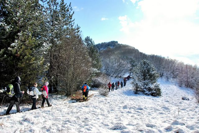 Kozlek 20.2.2016 - foto