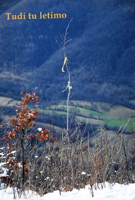 Kozlek 20.2.2016 - foto