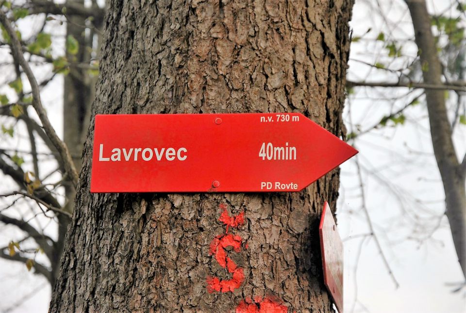 Lavrovec-Goli vrh 23.4.2016 - foto povečava