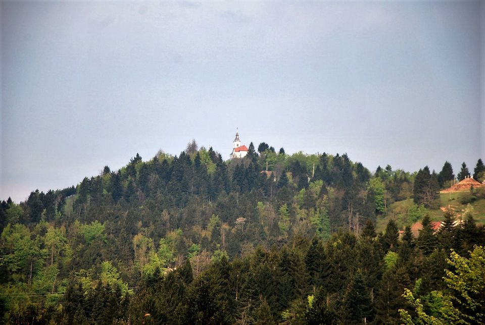 Lavrovec-Goli vrh 23.4.2016 - foto povečava