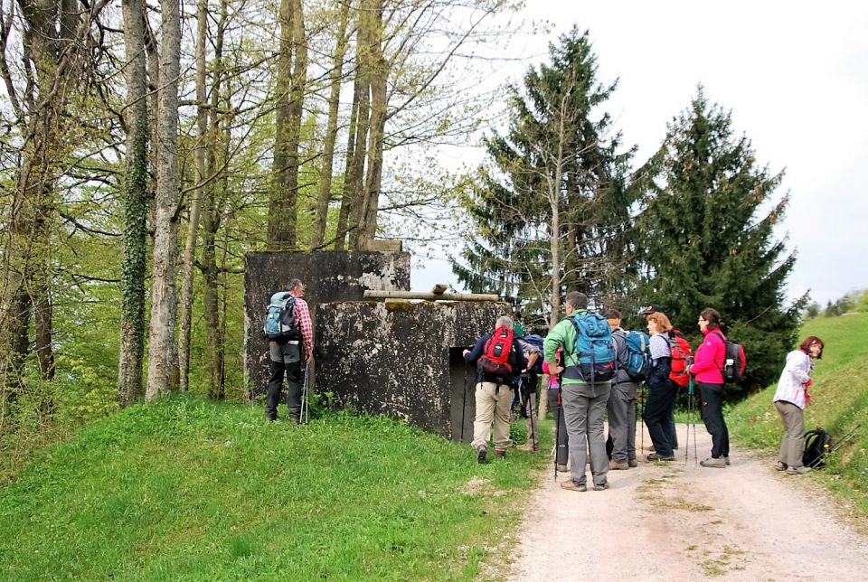 Lavrovec-Goli vrh 23.4.2016 - foto povečava