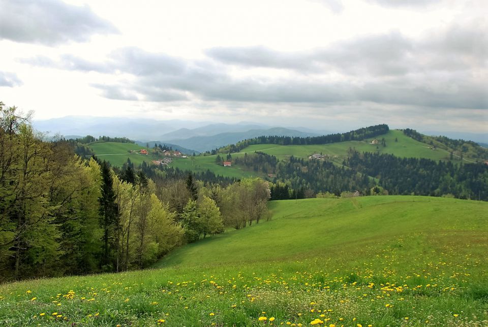 Lavrovec-Goli vrh 23.4.2016 - foto povečava