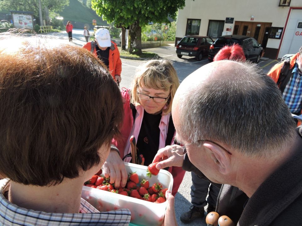 Bevkov vrh-Ermanovec 21.5.2016 - foto povečava