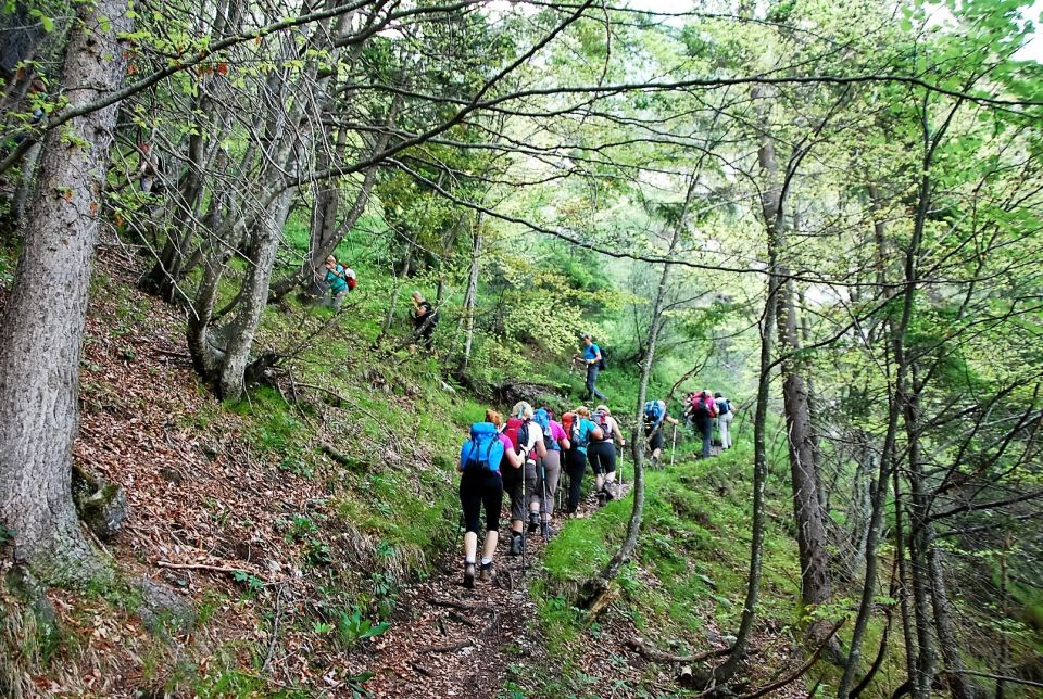 Ciprnik 25.6.2016 - foto povečava