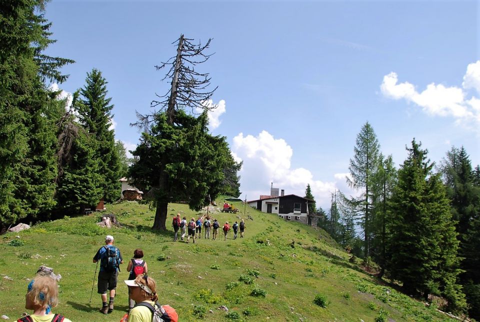 Ciprnik 25.6.2016 - foto povečava