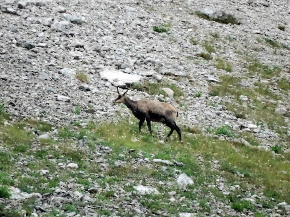 Vrtača 20.8.2016 - foto povečava