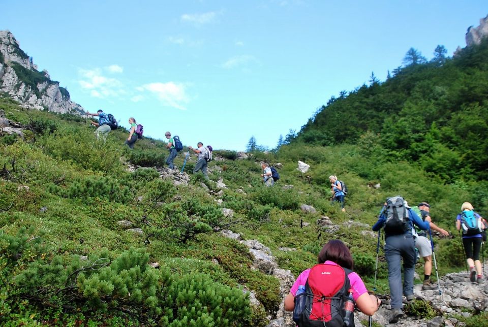 Vrtača 20.8.2016 - foto povečava