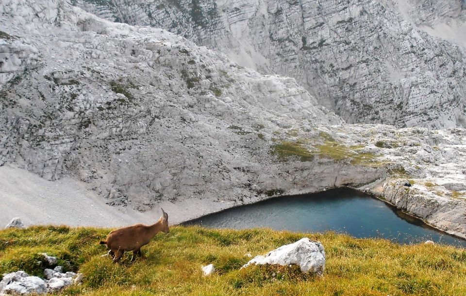 Stenar in Križ 10. in 11.9.2016 - foto povečava