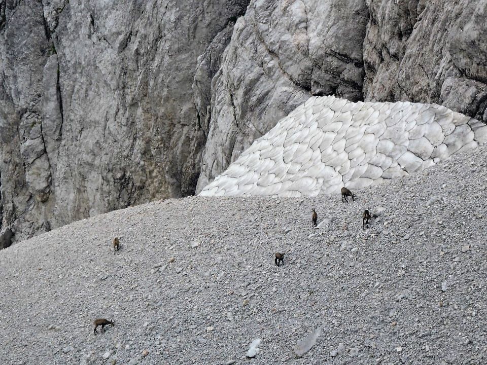 Stenar in Križ 10. in 11.9.2016 - foto povečava