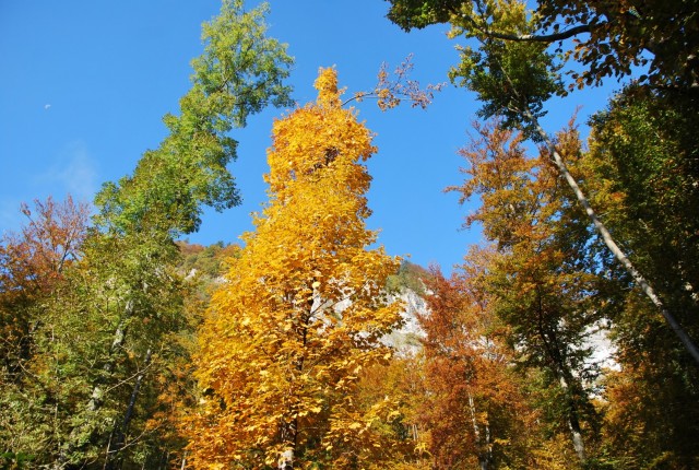 Galetovec 23.10.2016 - foto