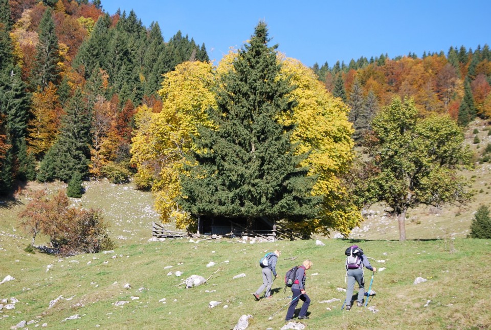 Galetovec 23.10.2016 - foto povečava