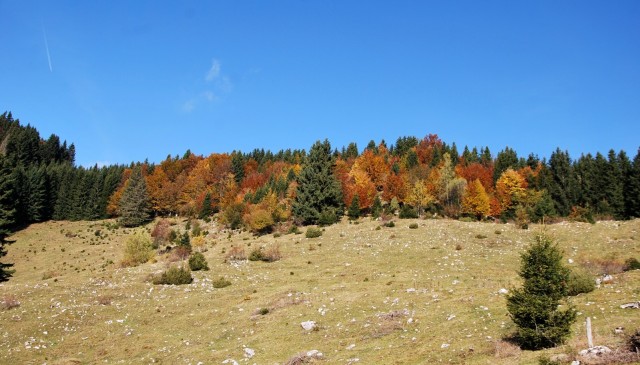 Galetovec 23.10.2016 - foto