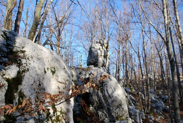 Mala in Velika Plešivica 18.2.2017 - foto