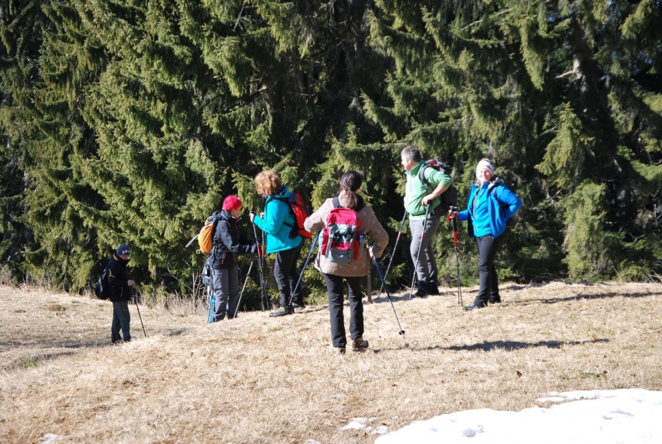 Uršlja gora 11.3.2017 - foto povečava