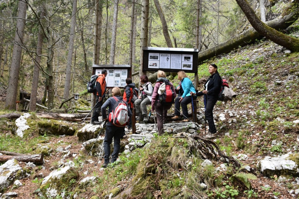 Koželjeva pot in slap Orglice 22.4.2017 - foto povečava