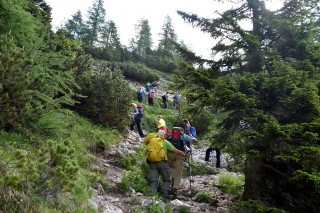 Debela peč 17.6.2017 - foto