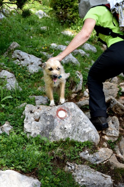 Debela peč 17.6.2017 - foto