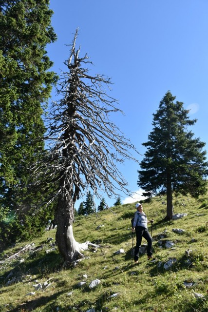 Ratitovec s Kloma 15.7.2017 - foto