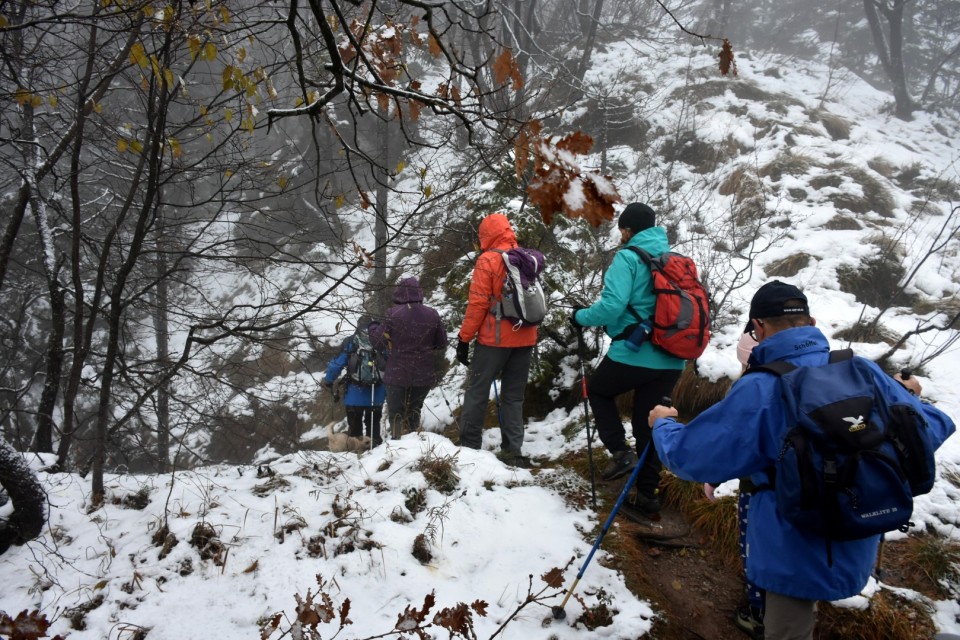 Bohor 18.11.2017 - foto povečava