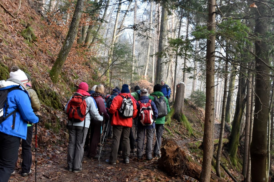 Štefanja gora 17.12.2017 - foto povečava