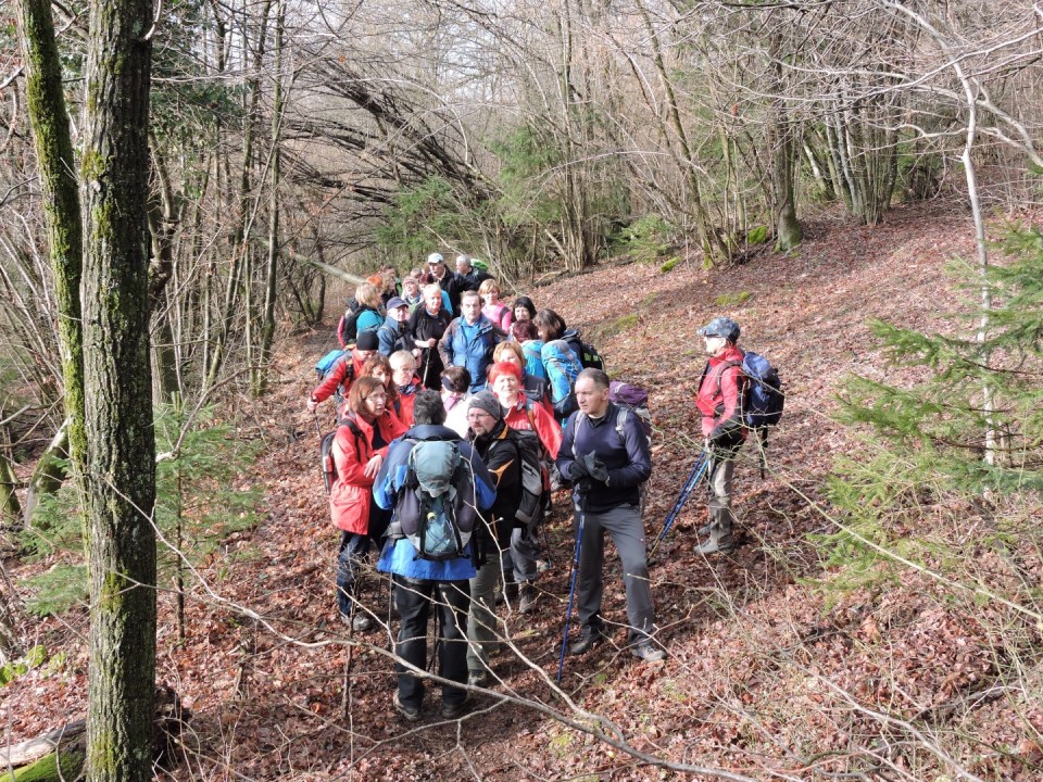 Limbarska gora 20.1.2018 - foto povečava