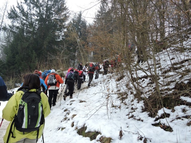 Tovsti vrh 17.2.2018 - foto