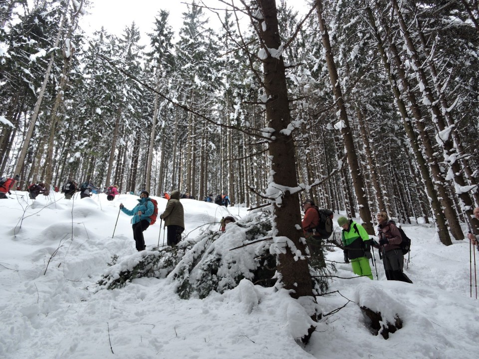 Tovsti vrh 17.2.2018 - foto povečava