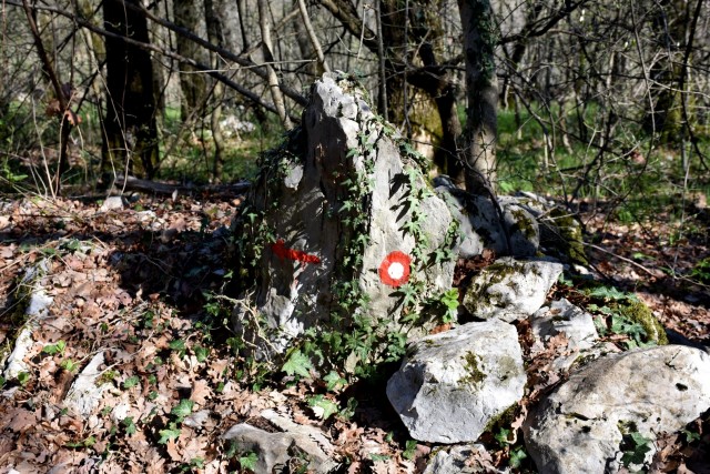 Kosovelova pot 14.4.2018 - foto