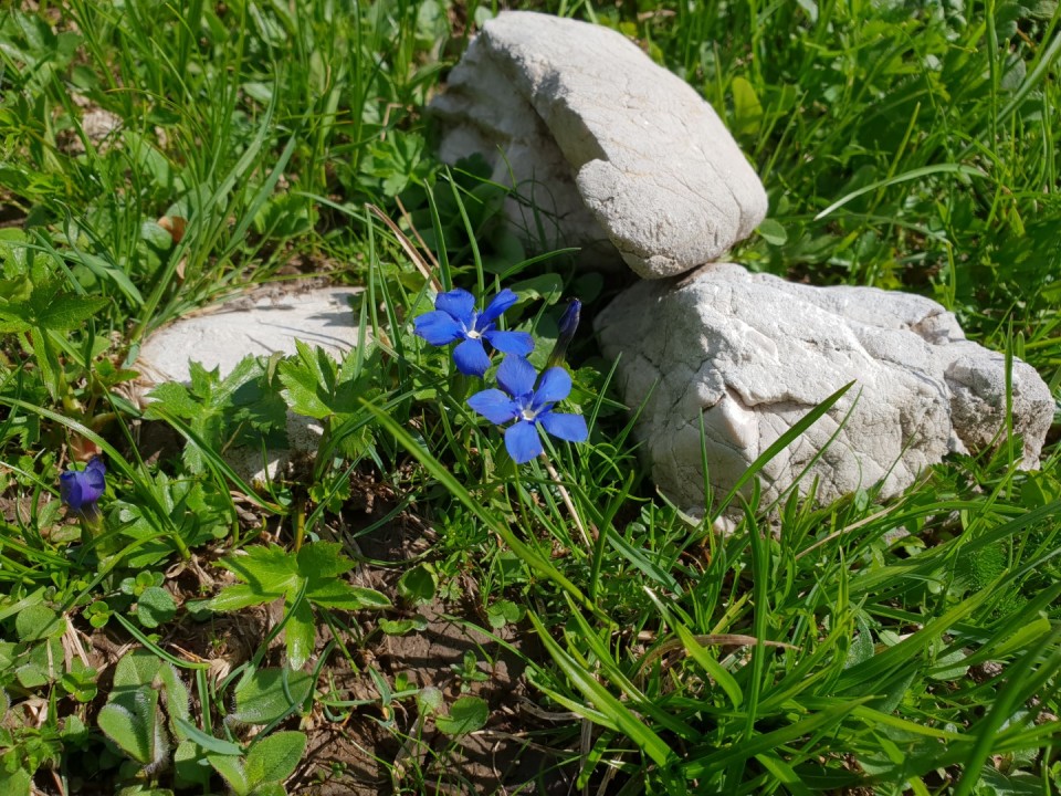 Kompotela 16.6.2018 - foto povečava