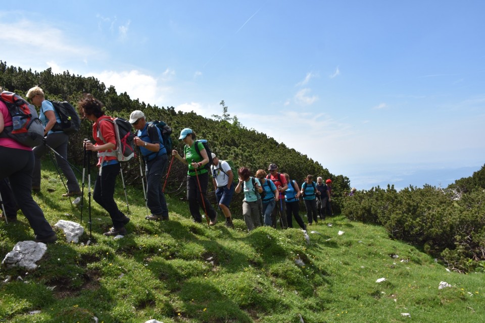 Kompotela 16.6.2018 - foto povečava