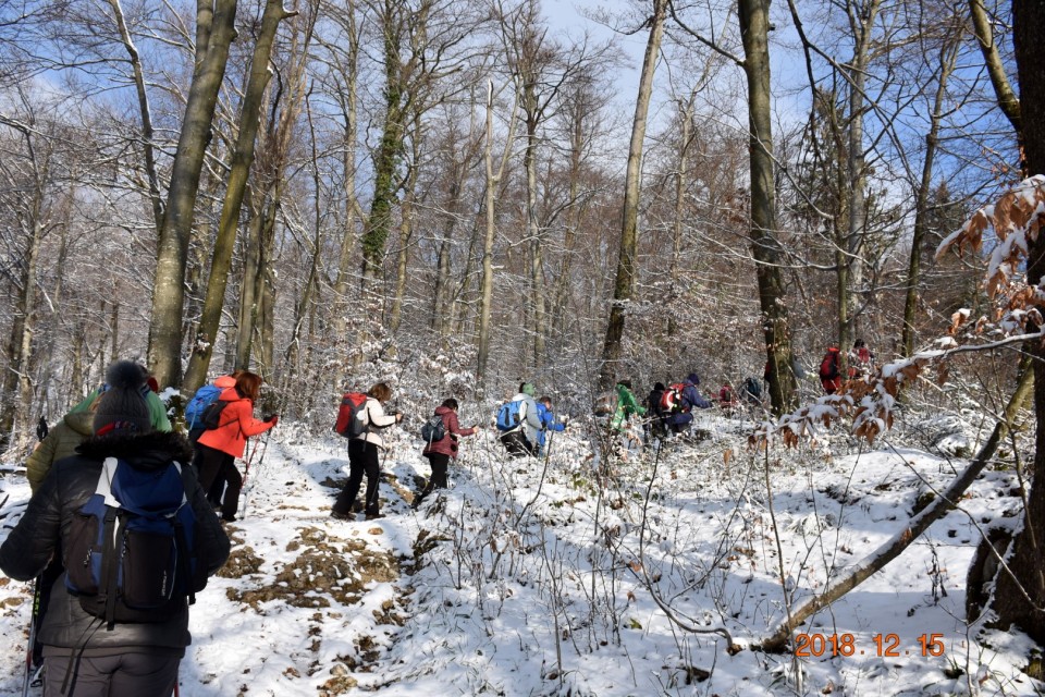 Planina nad Vrhniko 15. 12. 2019 - foto povečava