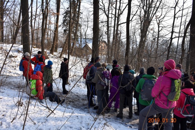 Tivoli, Rožnik in Šišenski hrib 20 1. 2019 - foto