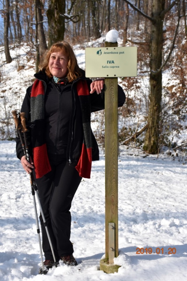 Tivoli, Rožnik in Šišenski hrib 20 1. 2019 - foto povečava