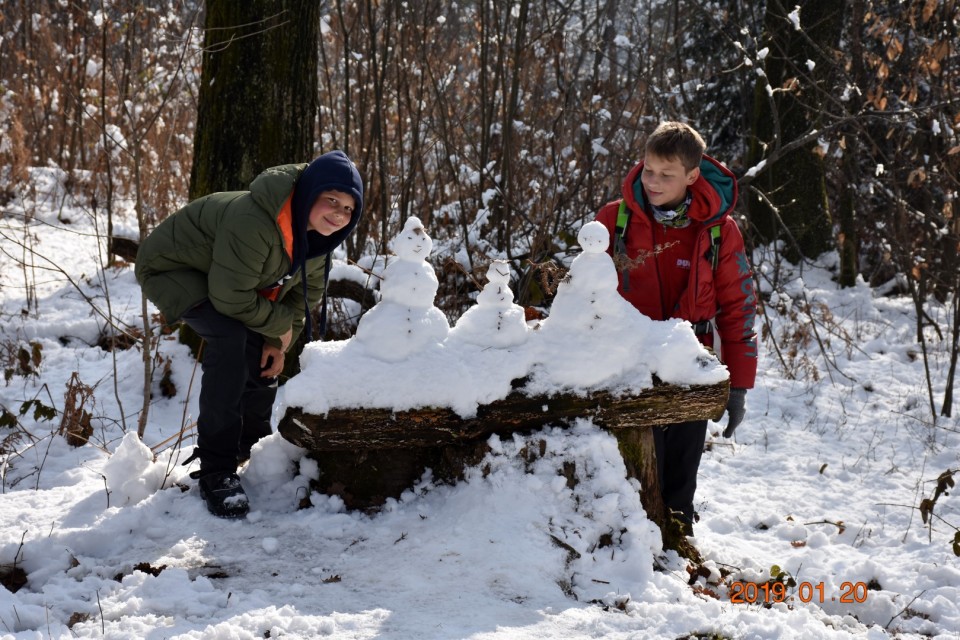 Tivoli, Rožnik in Šišenski hrib 20 1. 2019 - foto povečava