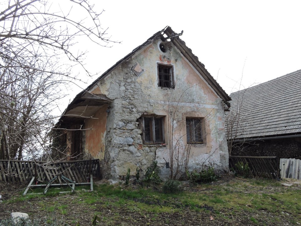 Šenturška gora 16.3.2019 - foto povečava