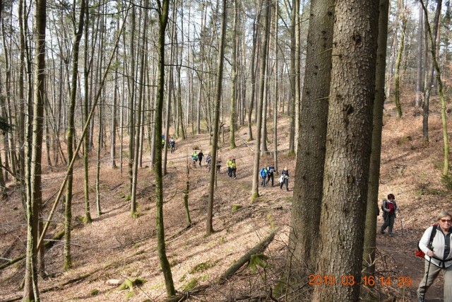 Šenturška gora 16.3.2019 - foto