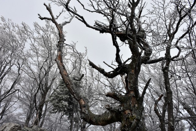 Križna gora in Sv. Duh 13.4.2019 - foto