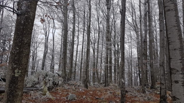 Križna gora in Sv. Duh 13.4.2019 - foto