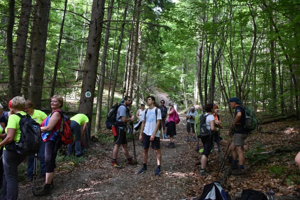 Krokar 15.6.2019 - foto povečava