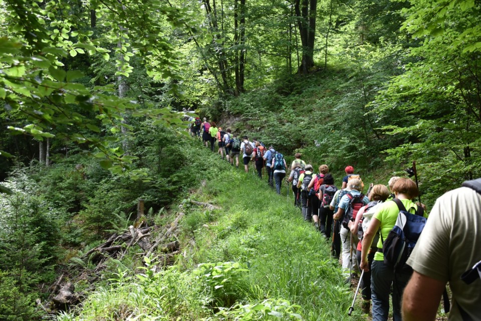 Krokar 15.6.2019 - foto povečava