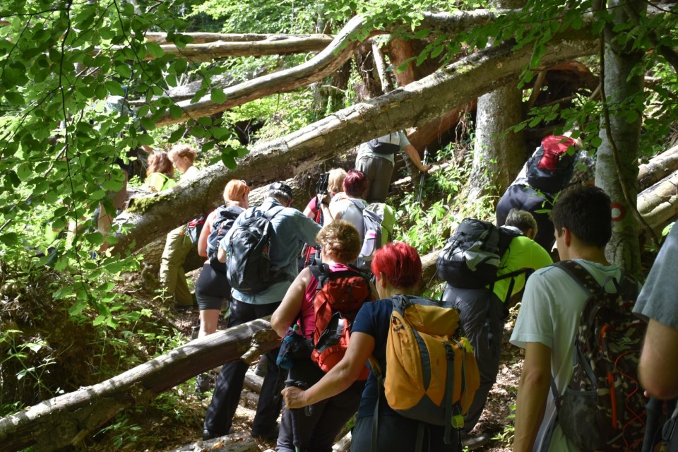 Krokar 15.6.2019 - foto povečava