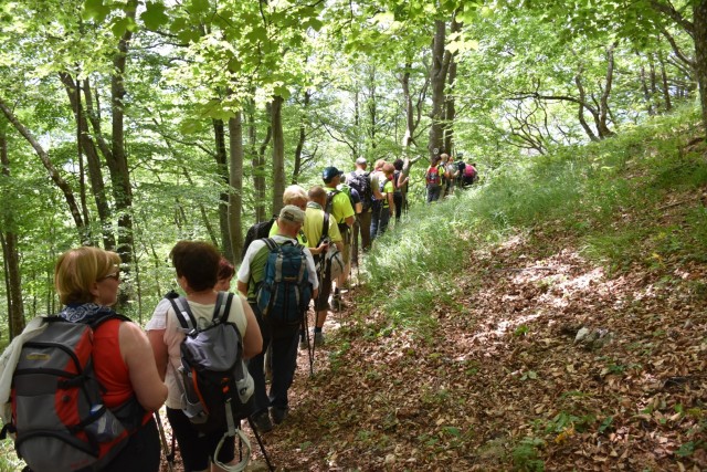 Krokar 15.6.2019 - foto