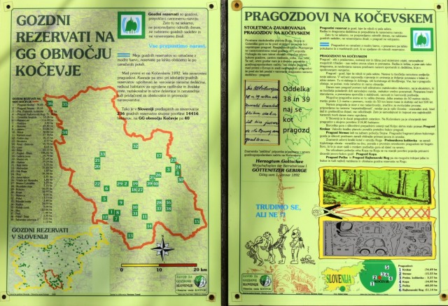 Krokar 15.6.2019 - foto