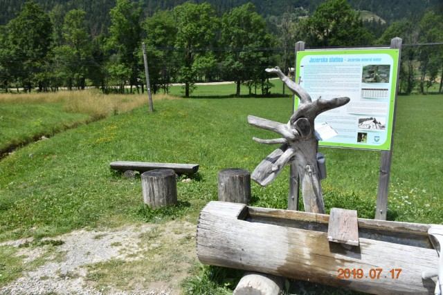 Goli vrh 20.7.2019 - foto