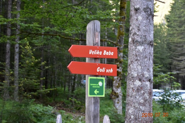 Goli vrh 20.7.2019 - foto