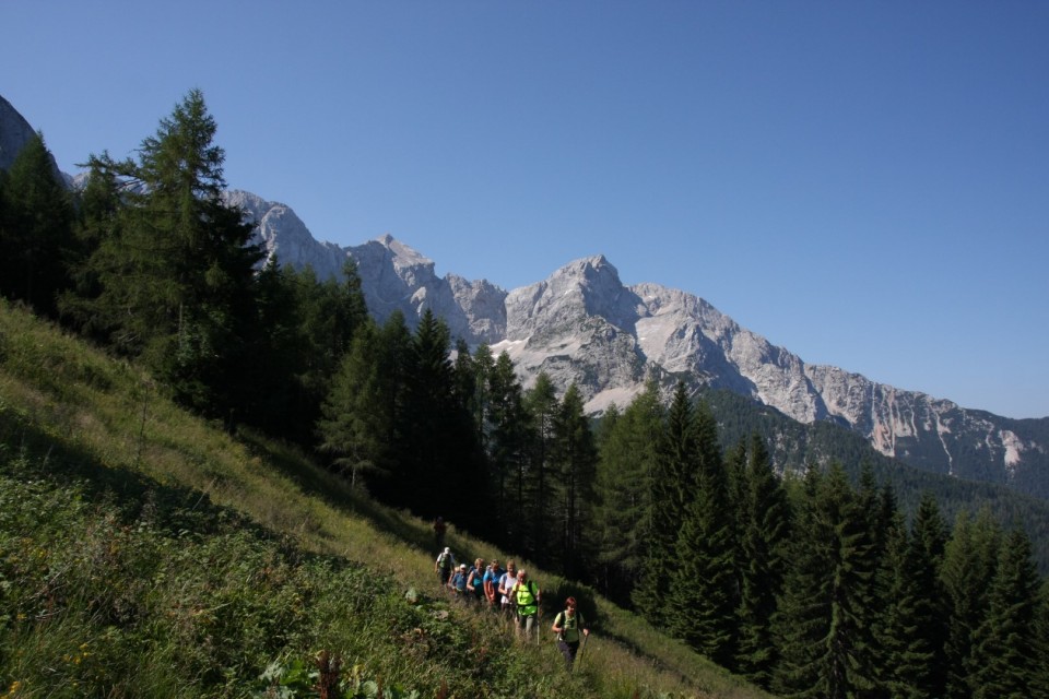 Goli vrh 20.7.2019 - foto povečava