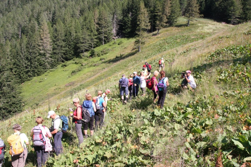 Goli vrh 20.7.2019 - foto povečava