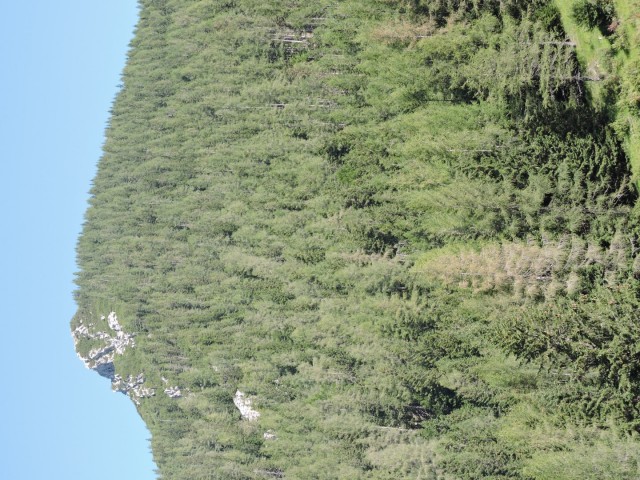 Goli vrh 20.7.2019 - foto